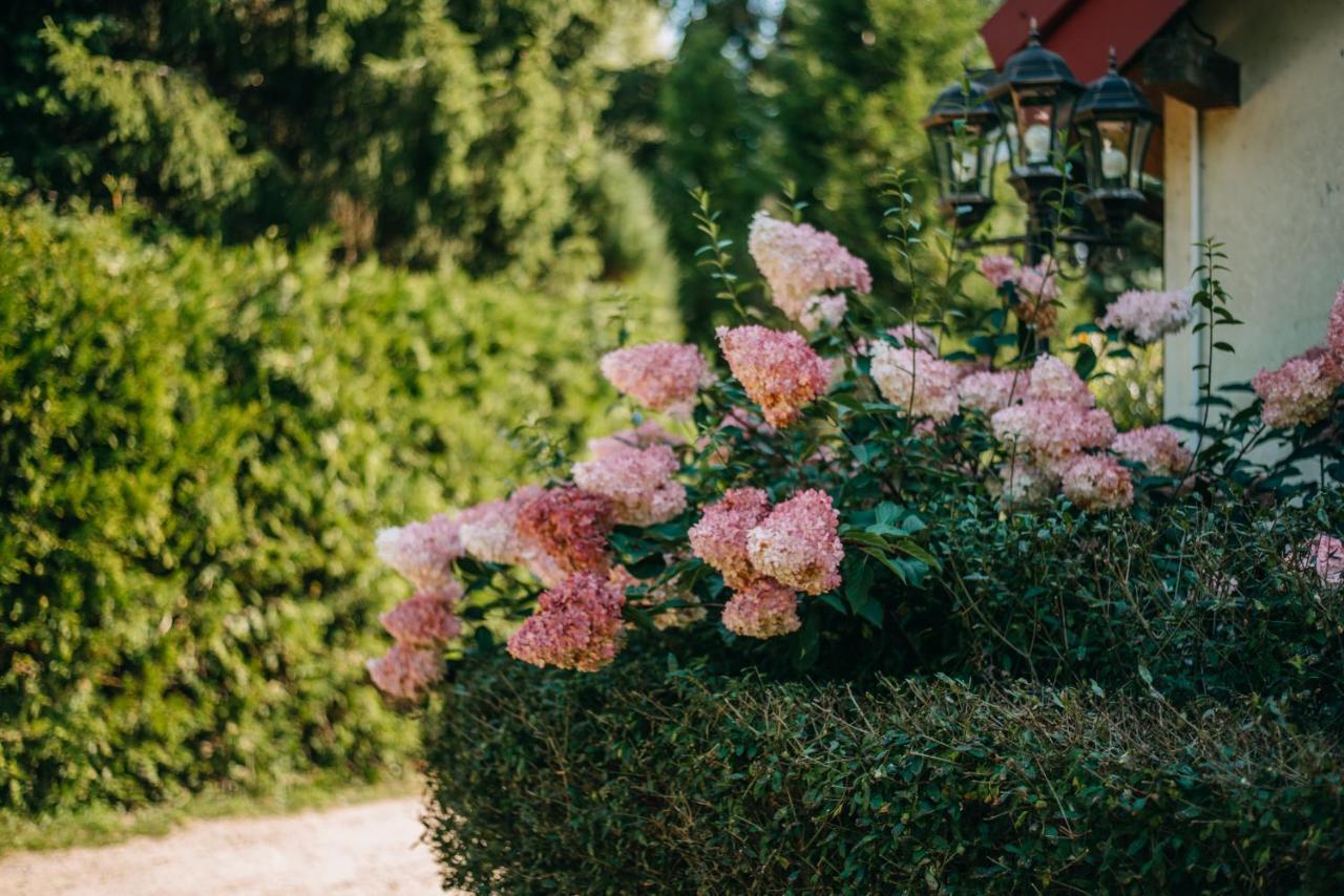 Bed and Breakfast Domjana Lubiatowo Lubiatowo  Esterno foto